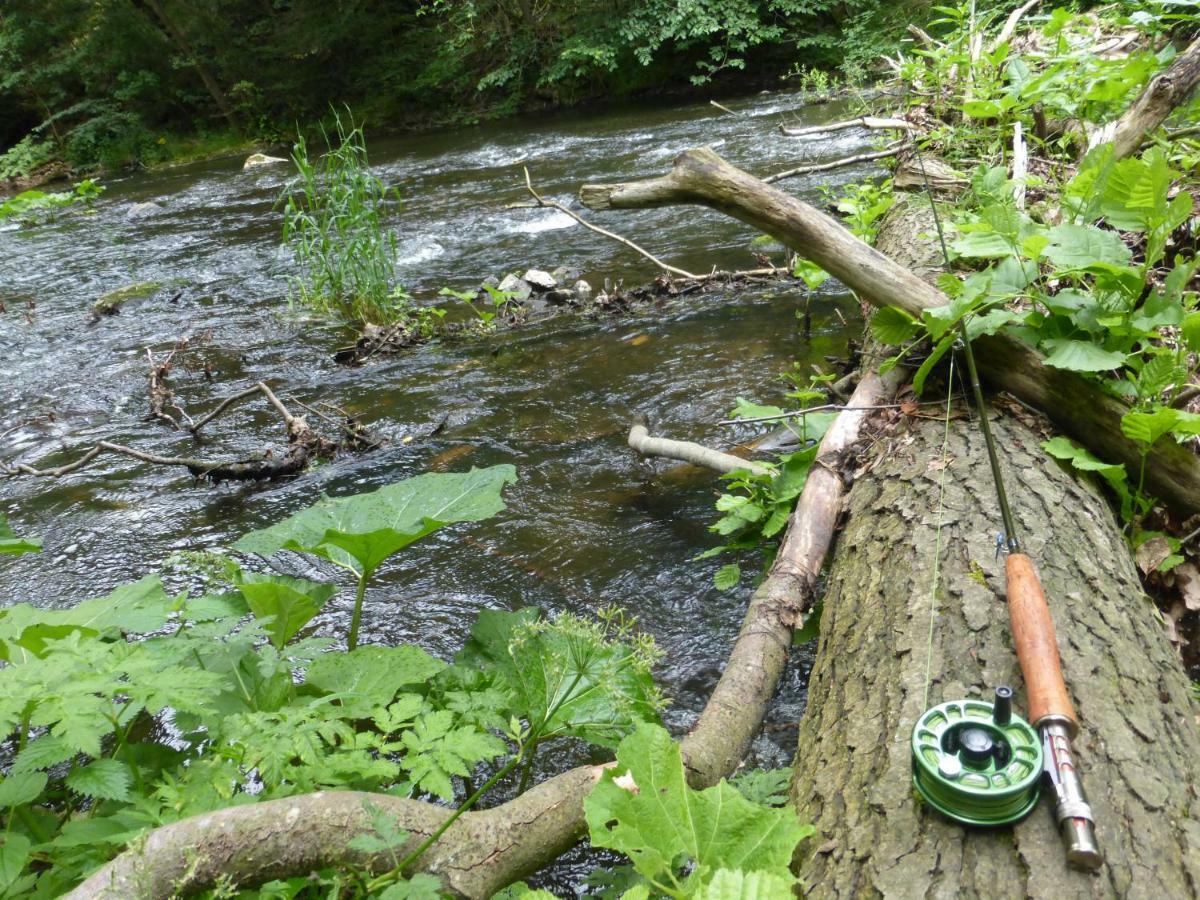 Pension Waldfrieden Thale Bagian luar foto